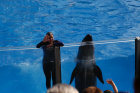 thumbs/seaworld 033.png